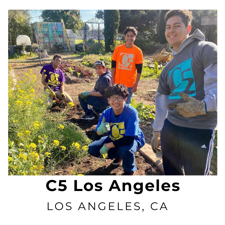 C5 LA Website Photo