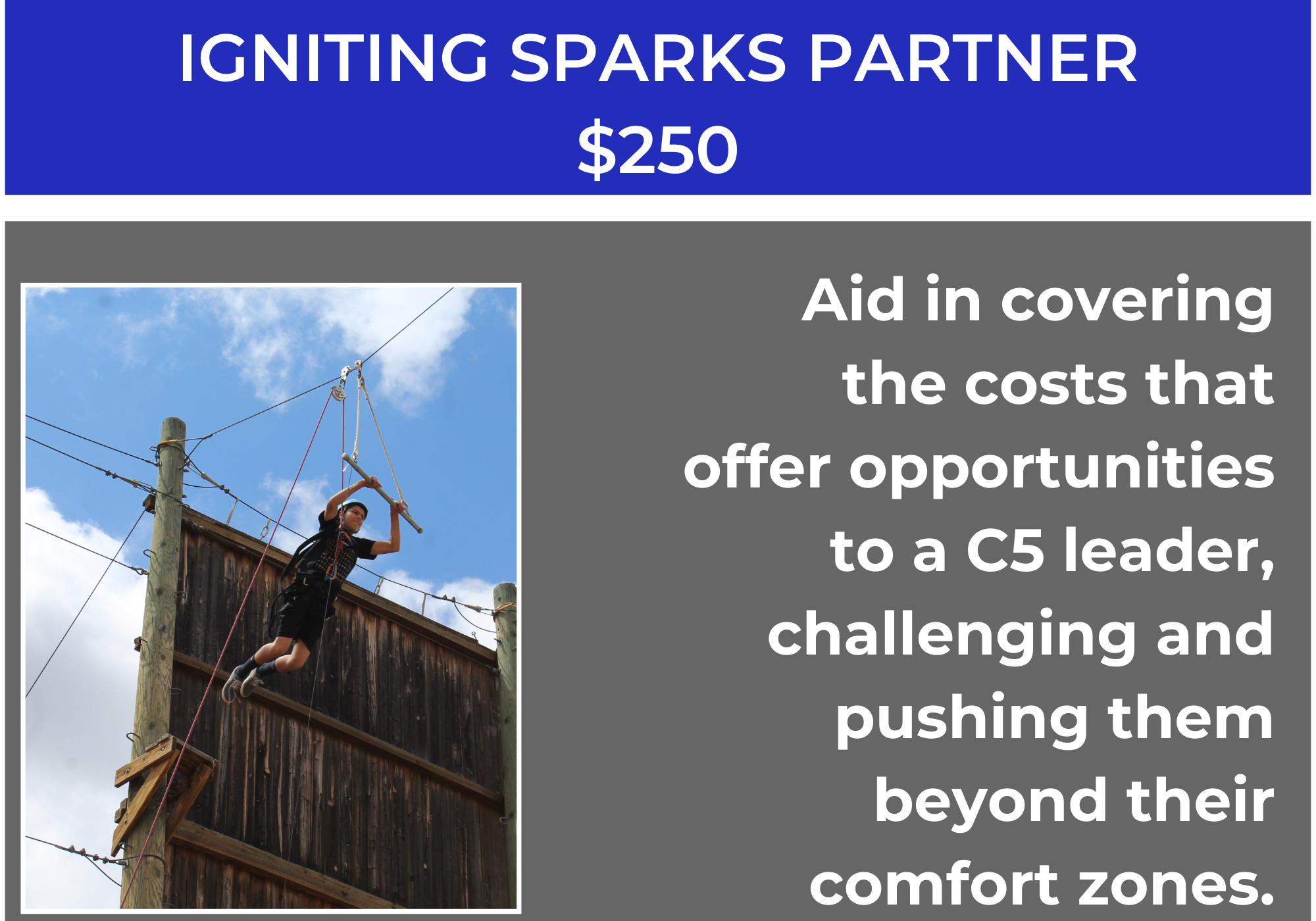 Igniting Sparks Partner