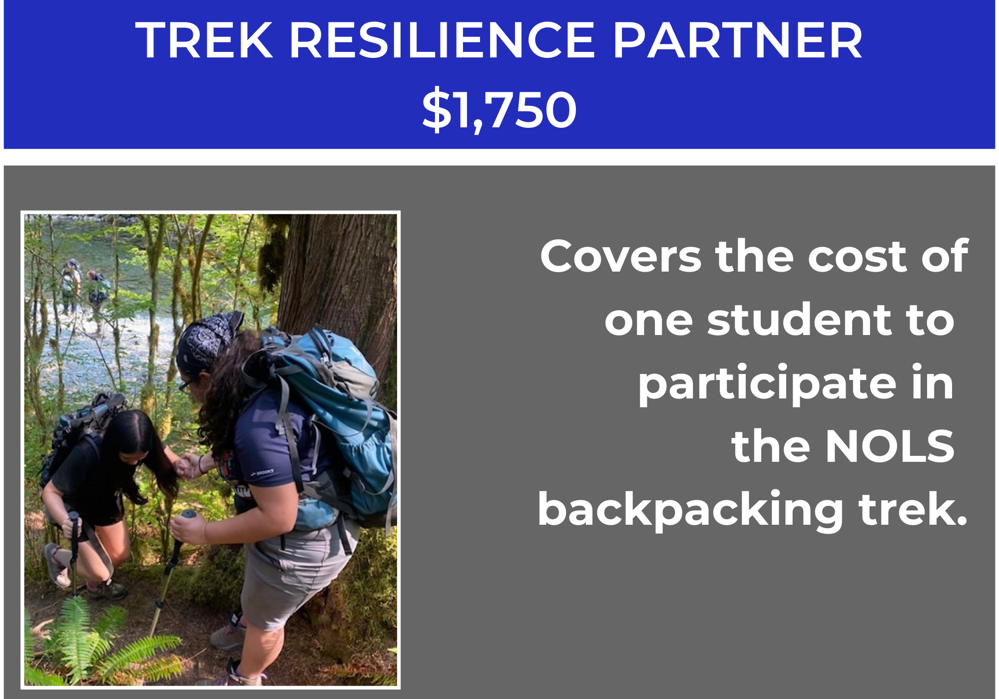 Trek Resilience Partner