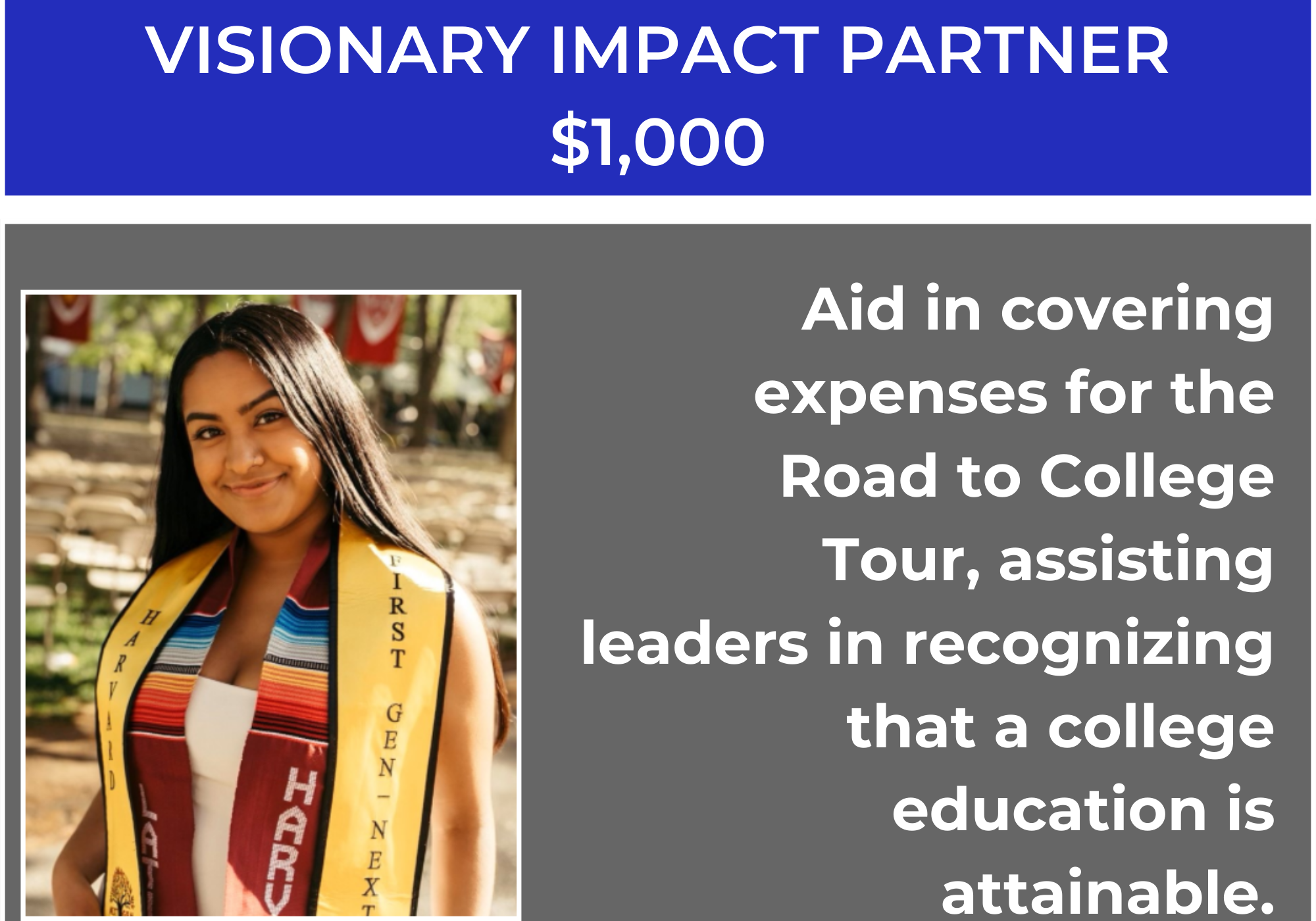 Visionary Impact Partner